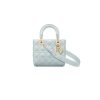 Small Lady Dior My ABCDior Bag