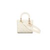 Small Lady Dior My ABCDior Bag