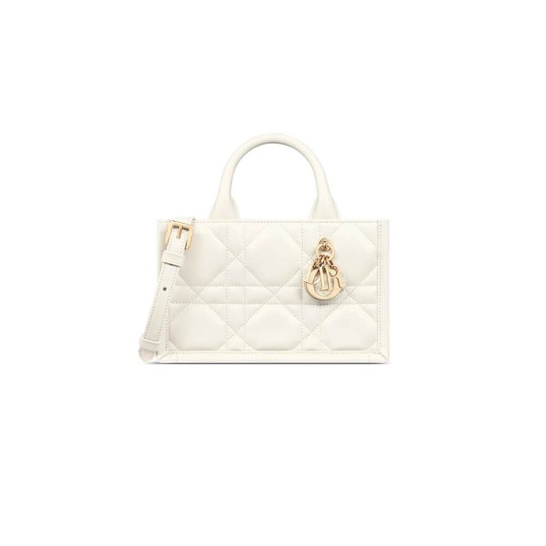 Mini Dior Book Tote