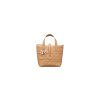 Small Dior Toujours Vertical Tote Bag