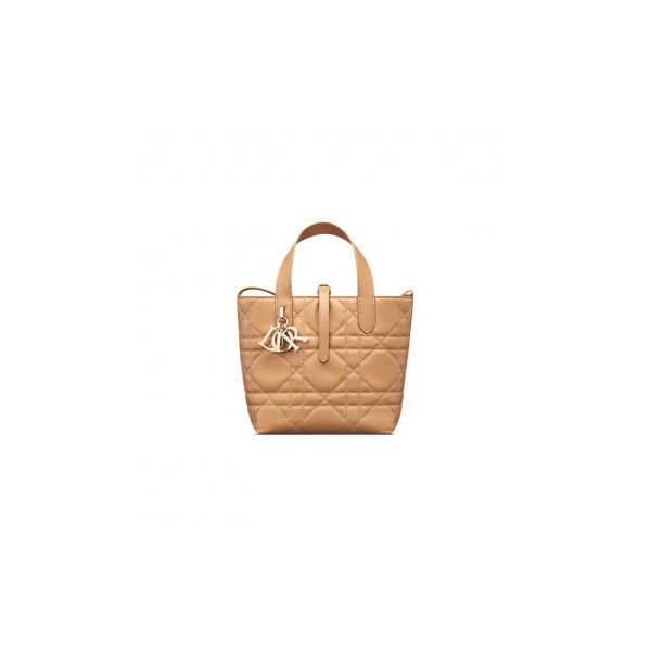 Small Dior Toujours Vertical Tote Bag