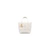 Small Dior Toujours Vertical Tote Bag