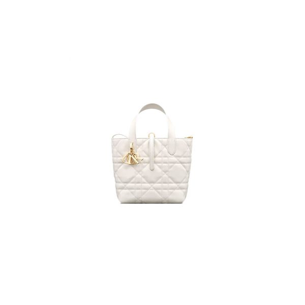 Small Dior Toujours Vertical Tote Bag