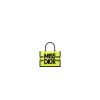 Small Dior Book Tote