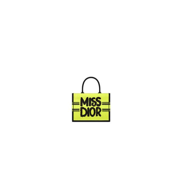 Small Dior Book Tote