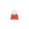 Goyard Sa?gon Souple Mini Bag
