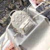 MINI DIORAMOUR DIOR BACKPACK - Image 2
