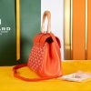 Goyard Sa?gon Souple Mini Bag - Image 3