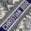 Medium Dior Book Tote - Image 6