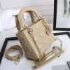 Mini Lady Dior Bag ?High-end grade? - Image 6