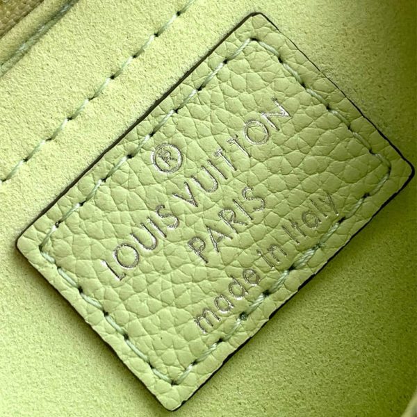 LV arellini - Image 7