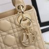 Mini Lady Dior Bag ?High-end grade? - Image 7