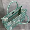 Medium Dioriviera Dior Book Tote - Image 9