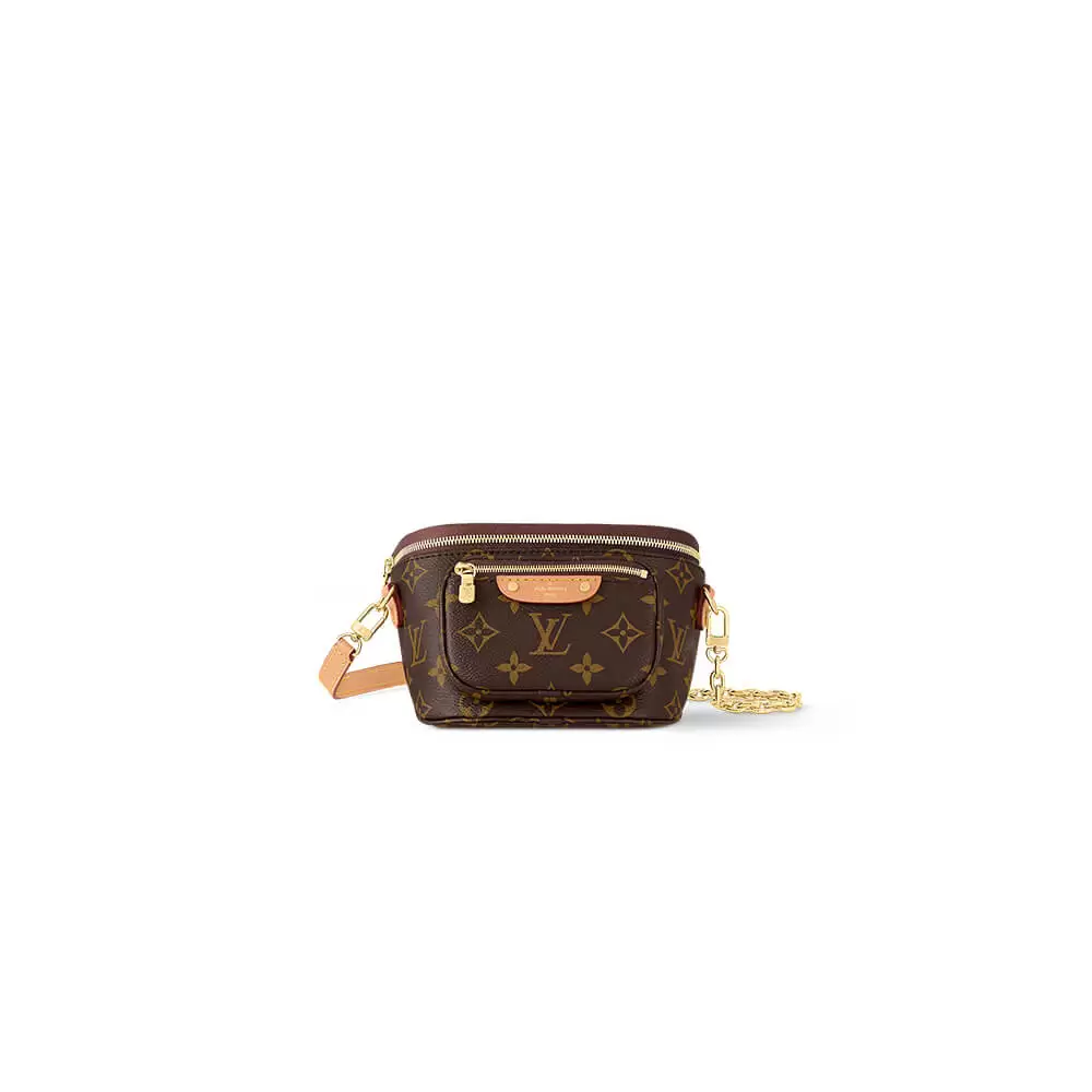 LV Mini Bumbag