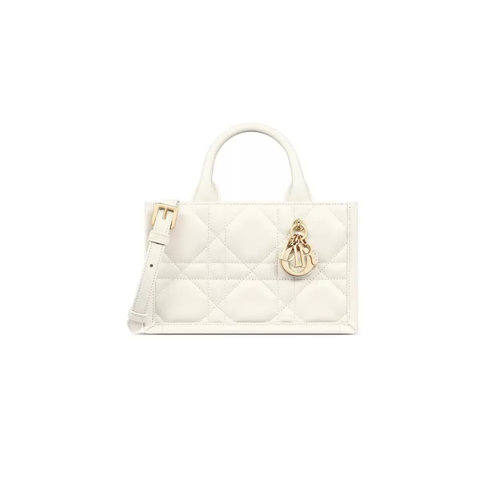 Mini Dior Book Tote
