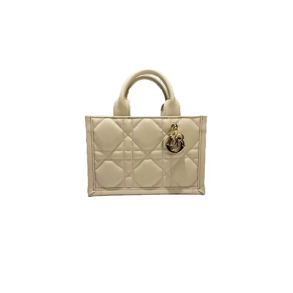 Mini Dior Book Tote