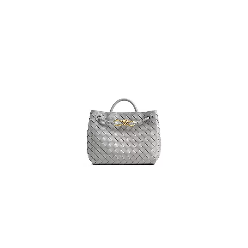 Bottega Veneta Small Andiamo