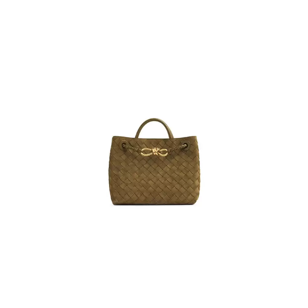 Bottega Veneta Small Andiamo